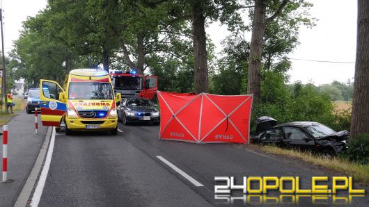 Śmiertelny wypadek na trasie Krzanowice - Czarnowąsy. Nie żyje kobieta