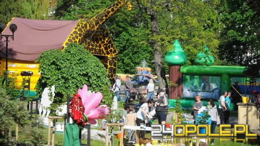 Miasto odwołuje wszystkie imprezy. Odwołane dni Opola, co z Festiwalem?