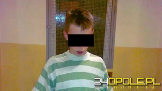 Nastoletni pijany wandal zdemolował 14 aut