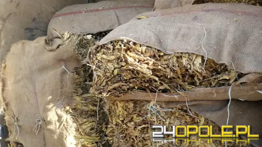Poszukiwany listem gończym w padł z ponad 2 tonami tytoniu