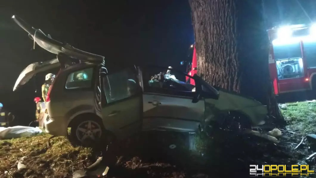 Kolejny śmiertelny wypadek na drodze. Auto uderzyło w drzewo
