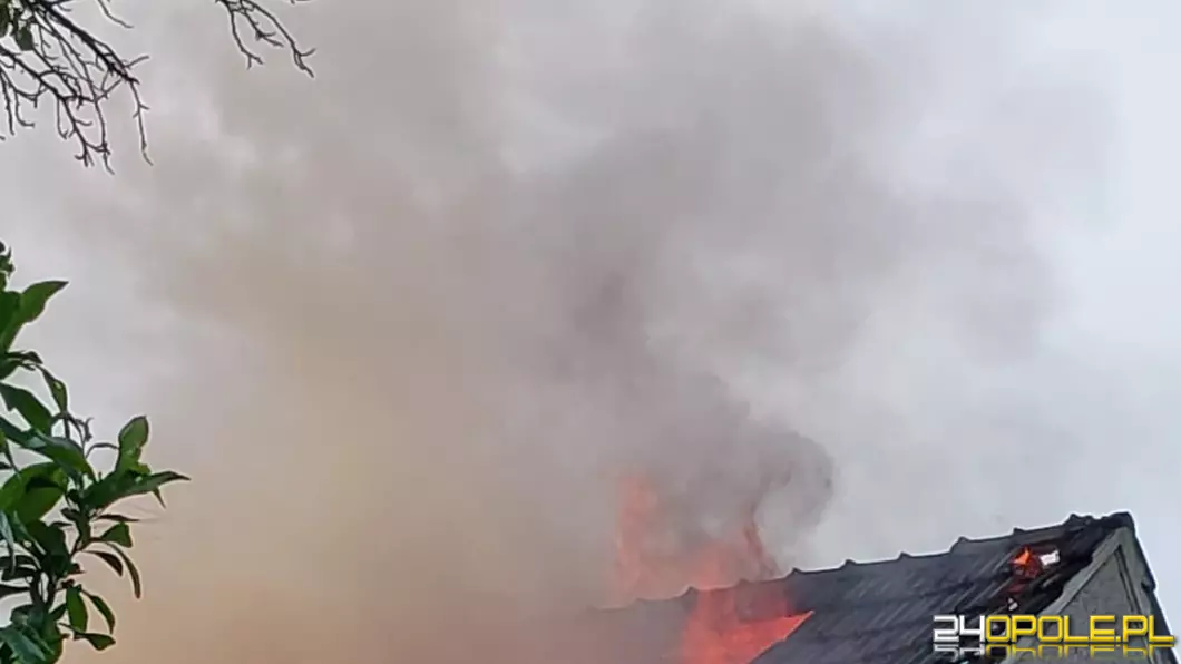 Pożar pustostanu w gminie Ozimek. W akcji sześć zastępów straży
