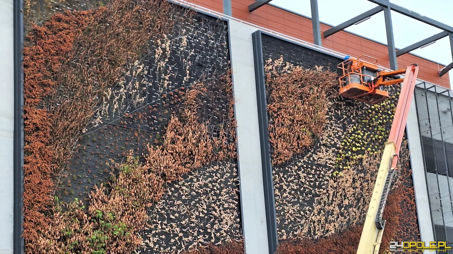 Trwa wymiana "zielonych ścian" na budynku Centrum Przesiadkowego Opole Główne