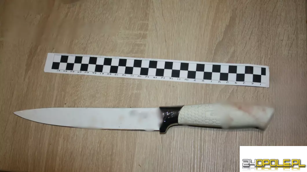 Chciała zabić swojego partnera raniąc go kilkukrotnie nożem. 28-latka w areszcie