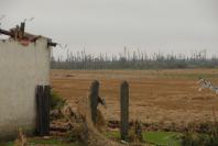 Wichura nad Opolszczyzną - usuwanie skutków - 1169_dsc_0516.jpg