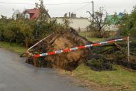 Wichura nad Opolszczyzną - usuwanie skutków - 1169_dsc_0519.jpg