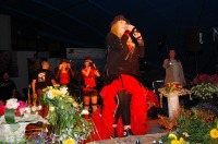 Koncert w Amfiteatrze - obchody Święta Województwa Opolskiego - 1831_amfiteatr061.jpg