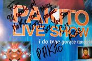 Koncert Pakito