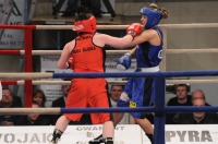 Gala Boksu w Strzelcach Opolskich - 4751_gala_boks_strzelce.jpg