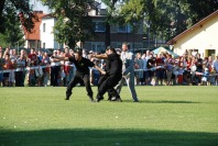 Wojewódzkie obchody ŚWIĘTA POLICJI - 266_Swieto_Policji_0175.jpg