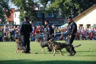 Wojewódzkie obchody ŚWIĘTA POLICJI - 266_Swieto_Policji_0210.jpg