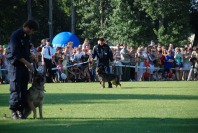 Wojewódzkie obchody ŚWIĘTA POLICJI - 266_Swieto_Policji_0219.jpg