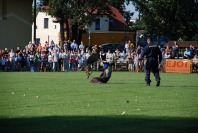 Wojewódzkie obchody ŚWIĘTA POLICJI - 266_Swieto_Policji_0285.jpg