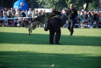 Wojewódzkie obchody ŚWIĘTA POLICJI - 266_Swieto_Policji_0346.jpg