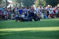 Wojewódzkie obchody ŚWIĘTA POLICJI - 266_Swieto_Policji_0359.jpg