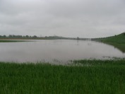 Okiem czytelników - Powódź w Opolu i na Opolszczyźnie - ciąg dalszy ! - 2799_powodz_opole_010.jpg