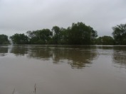 Okiem czytelników - Powódź w Opolu i na Opolszczyźnie - ciąg dalszy ! - 2799_powodz_opole_012.jpg