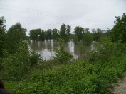 Okiem czytelników - Powódź w Opolu i na Opolszczyźnie - ciąg dalszy ! - 2799_powodz_opole_023.jpg