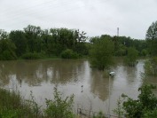 Okiem czytelników - Powódź w Opolu i na Opolszczyźnie - ciąg dalszy ! - 2799_powodz_opole_037.jpg