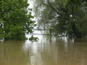 Okiem czytelników - Powódź w Opolu i na Opolszczyźnie - ciąg dalszy ! - 2799_powodz_opole_060.jpg