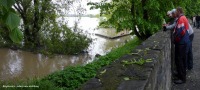 Okiem czytelników - Powódź w Opolu i na Opolszczyźnie - ciąg dalszy ! - 2799_powodz_opole_083.jpg