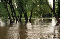 Powódź 2010 - Czarnowąsy, Opolszczyzna - 2803_14.jpg