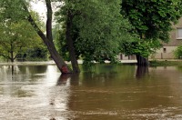 Powódź 2010 - Czarnowąsy, Opolszczyzna - 2803_15.jpg
