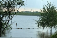 Powódź 2010 - Czarnowąsy, Opolszczyzna - 2803_40.jpg