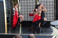 Opole 2011 - Bednarek, Stachursky, Młynkowa, Wyszkoni, Varius Manx - 3669_festiwalopole2011_022.jpg