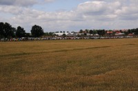 IX Bieg Opolski - 2011 - 3715_foto_opole_100.jpg