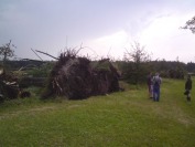 Gradobicie nad Opolszczyzną - zdjęcia czytelników - 4498_DSC00509.jpg
