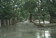 Powódź z 1997 roku - 4511_IMAGE084.jpg