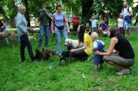 Piknik rodzinny w Parku Nadodrzańskim - 4529_foto_opole_142.jpg