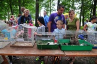 Piknik rodzinny w Parku Nadodrzańskim - 4529_foto_opole_164.jpg