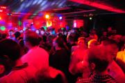 Aqarium - Fiesta Brazil