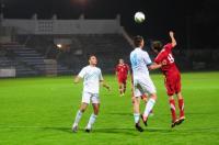 Polska 1:1 Słowenia - 4657_foto_opole_044.jpg