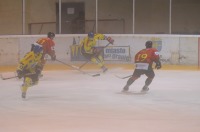 Orlik Opole 5:3 Naprzód Janów - 6164_foto_24opole_096.jpg