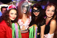 Aqarium - HALLOWEEN - 6199_img_4153.jpg