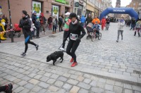 3 Opolski Bieg Policz się z Cukrzycą - 6342_foto_24opole_113.jpg