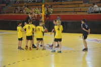 Gwardia Mini Handball Liga - 6484_res_dsc_0060.jpg