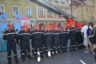 XX Międzynarodowe Spotkanie Młodzieżowych Drużyn Pożarniczych - CTIF Opole 2015 - 6760_foto_24opole_013.jpg
