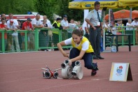 XX Międzynarodowe Spotkanie Młodzieżowych Drużyn Pożarniczych - CTIF Opole 2015 - 6763_foto_24opole_115.jpg