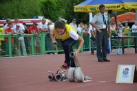 XX Międzynarodowe Spotkanie Młodzieżowych Drużyn Pożarniczych - CTIF Opole 2015 - 6763_foto_24opole_116.jpg