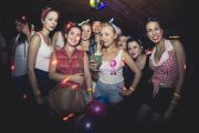 Aqarium NYSA - Fiesta Brasil