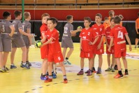 PEGO Mini Handball Liga - 7222_00562.jpg
