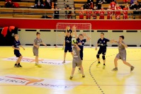 PEGO Mini Handball Liga - 7222_00642.jpg
