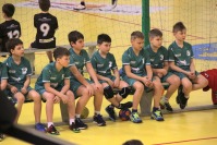 PEGO Mini Handball Liga - 7222_00679.jpg