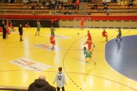 PEGO Mini Handball Liga - 7222_00705.jpg
