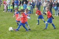 Dni Opola 2016 - Piknik rodzinno-sportowy w Parku na Osiedlu Armi Krajowej - 7279_foto_opole_014.jpg