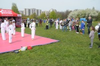 Dni Opola 2016 - Piknik rodzinno-sportowy w Parku na Osiedlu Armi Krajowej - 7279_foto_opole_068.jpg